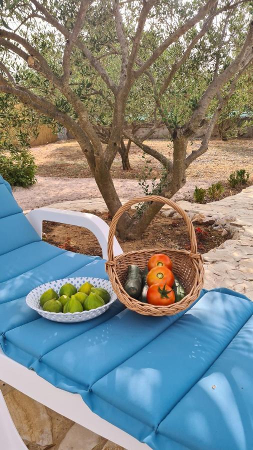 Villa Bubica- Cozy Holiday Home In Rural Area With Pool Stankovci  Exterior foto